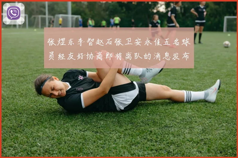 张煜东李智赵石张卫安永佳五名球员经友好协商即将离队的消息发布