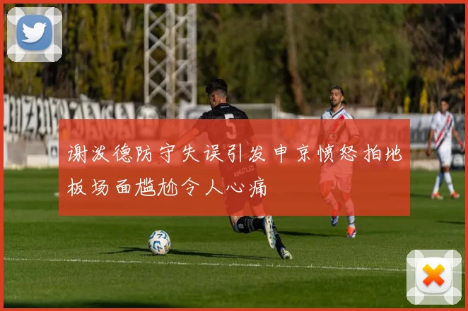 谢泼德防守失误引发申京愤怒拍地板场面尴尬令人心痛