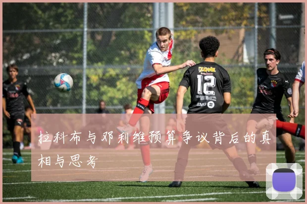 拉科布与邓利维预算争议背后的真相与思考